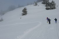 Corso di Sci – Febbraio 2014 – 15/82