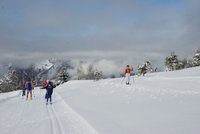 Corso di Sci – Febbraio 2014 – 17/82