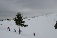 Corso di Sci – Febbraio 2014 – 37/82