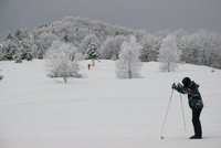 Corso di Sci – Febbraio 2014 – 62/82