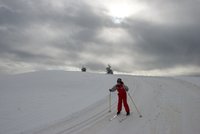 Corso di Sci – Febbraio 2014 – 67/82