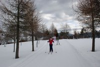 Corso di Sci – Febbraio 2015 – 20/26