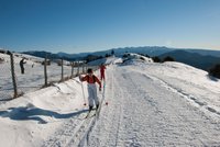 Corso di Sci – Gennaio 2014 – 15/22