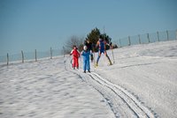 Corso di Sci – Gennaio 2014 – 16/22