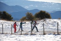 Corso di Sci – Gennaio 2015 – 29/64