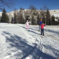 Corso di Sci – Gennaio 2015 – 64/64