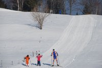 Corso di Sci – Marzo 2013 – 6/15