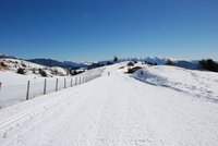 Corso di Sci – Marzo 2015 – 4/29