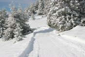 Pista di sci di fondo Monte Stino – Capovalle BS
