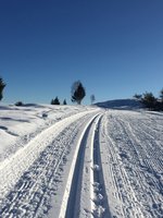 Pista di fondo Monte Stino – Capovalle invernale